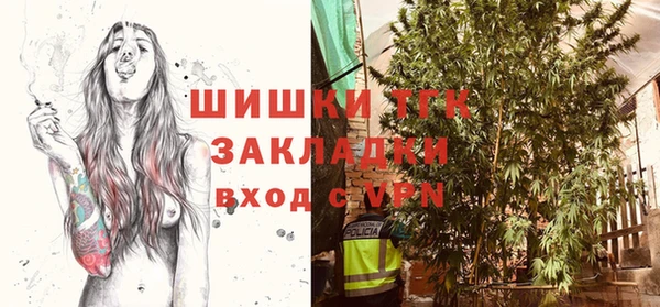 прущий лед Бородино
