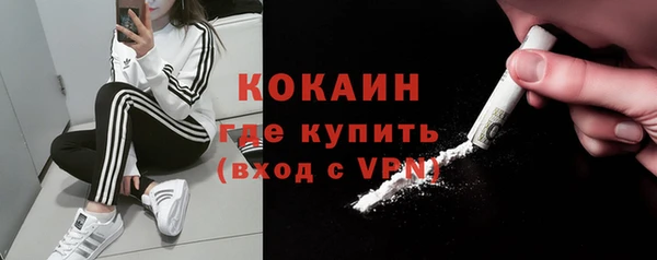 бошки Бронницы