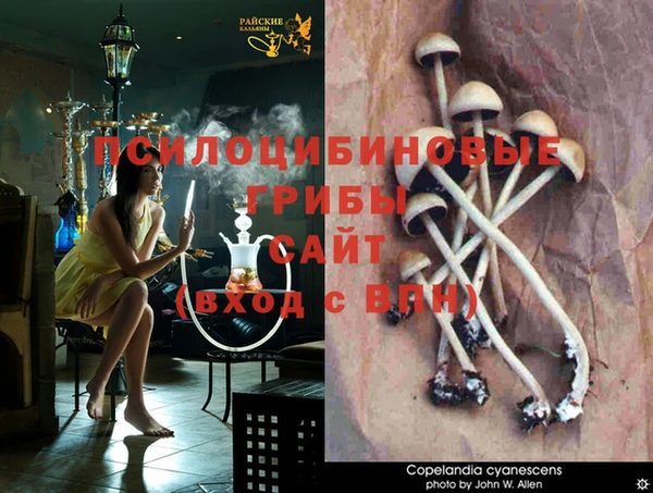бошки Бронницы