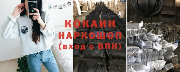 прущий лед Бородино