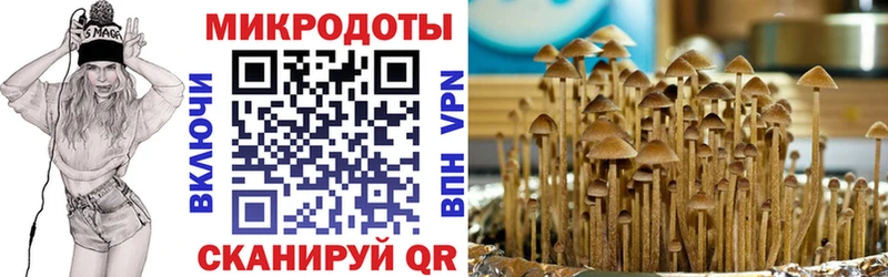 Купить  Михайловка  Псилоцибиновые грибы Magic Shrooms 